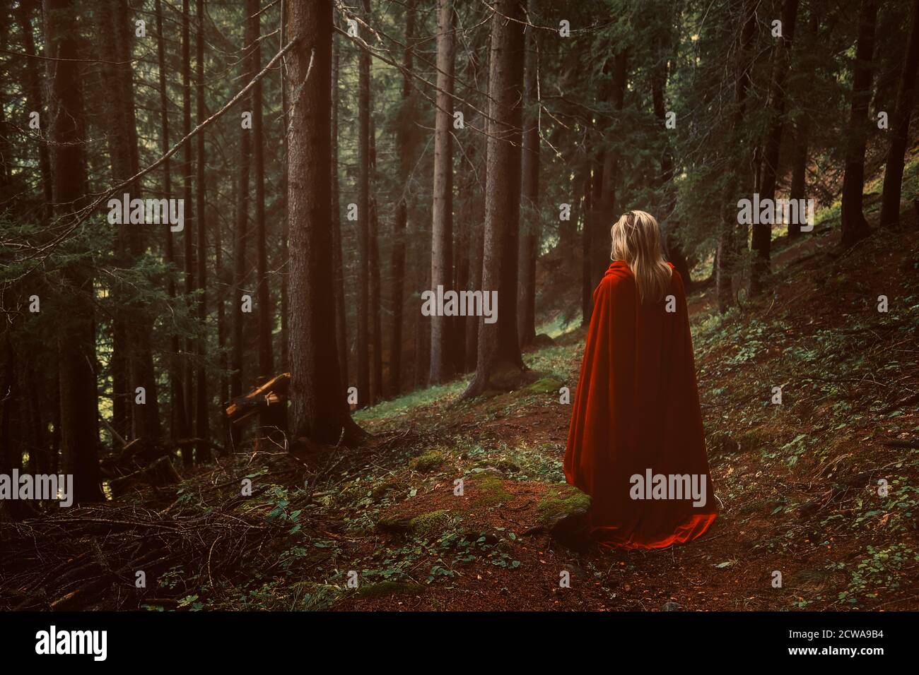 Frau mit rotem Mantel in einem geheimnisvollen Wald Stockfoto