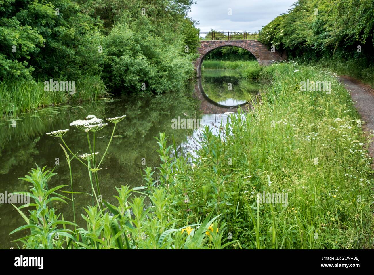 Sedgleys Bridge 9 über den Grand Union Canal in der Nähe von Great Bowden, Leicestershire, England. Stockfoto