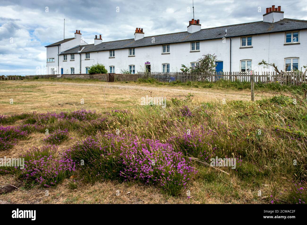 White Coastguard Cottages in Dunwich Heath, Suffolk, England Stockfoto