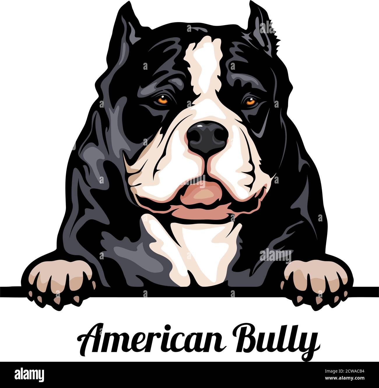 picture Exotic Bully Logo American Bully Cartoon https www alamy de head american bully hunderasse farbbild eines hundekopfes isoliert auf weissem hintergrund image377013368 html