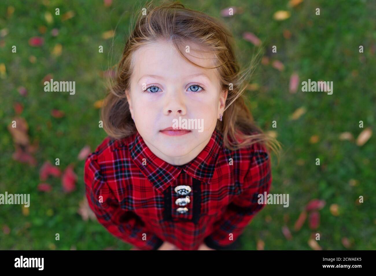Ein schönes Mädchen mit blauen Augen schaut nach oben. Kind in einem roten Herbstkleid. Blick von oben. Kamera von oben. Schaut in den Himmel. Herbstmotiv Stockfoto