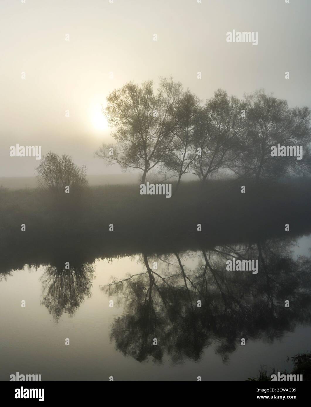 Alveley, Großbritannien. September 2020. Wetter in Großbritannien: sonnenaufgang durch den Nebel entlang des Flusses Severn bei Alveley. Es ist ein Kaltstart, aber die Temperaturen steigen für einen weiteren schönen Tag, bevor sich das Wetter morgen zum Schlechteren ändert. Sonnenbeschienene Bäume können im Fluss reflektiert werden, während der Nebel aufsteigt. Kredit: Lee Hudson/Alamy Live Nachrichten Stockfoto