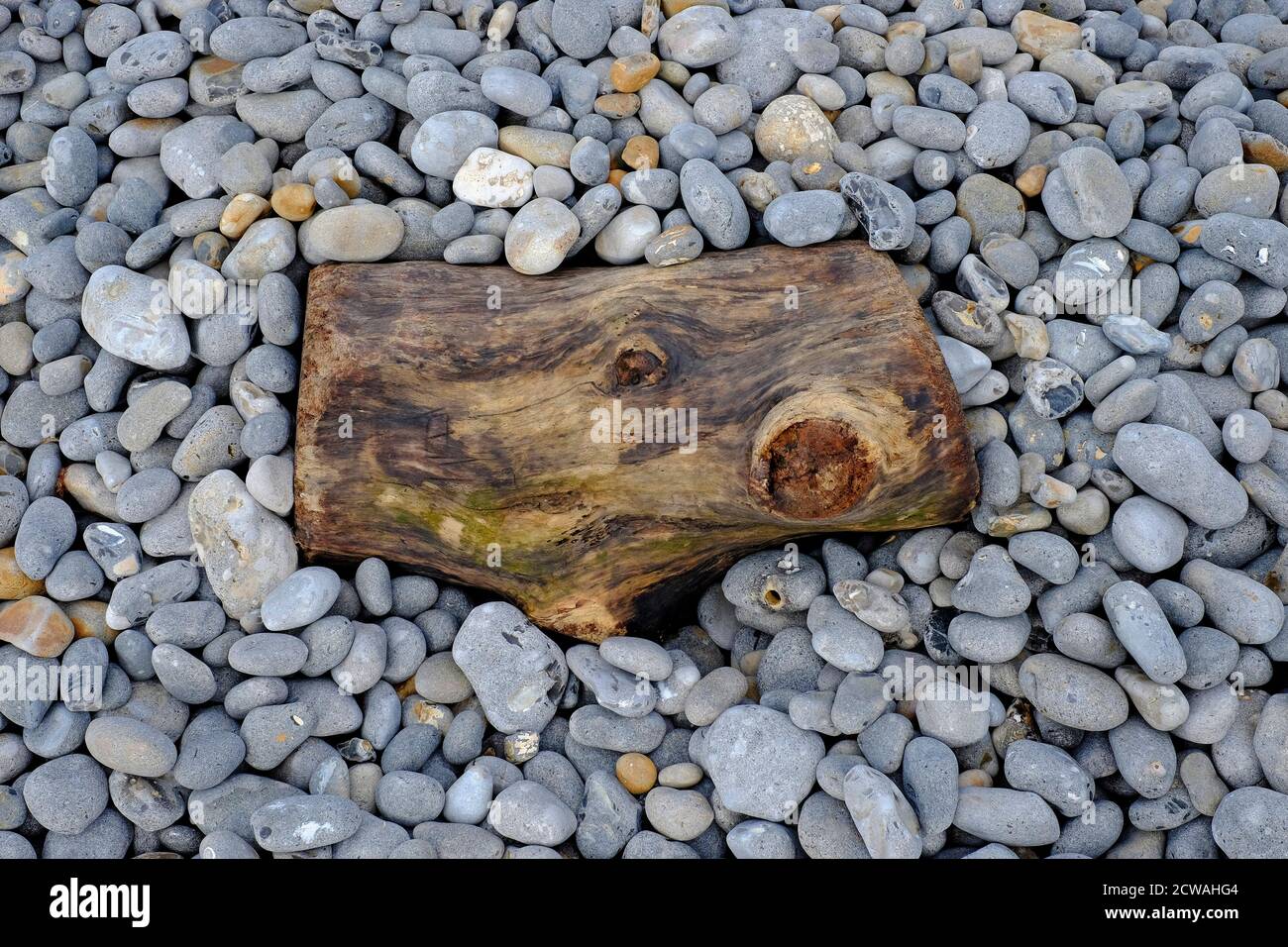 Alter verwitterter Baumstamm am Kiesstrand, sheringham, Nord norfolk, england Stockfoto