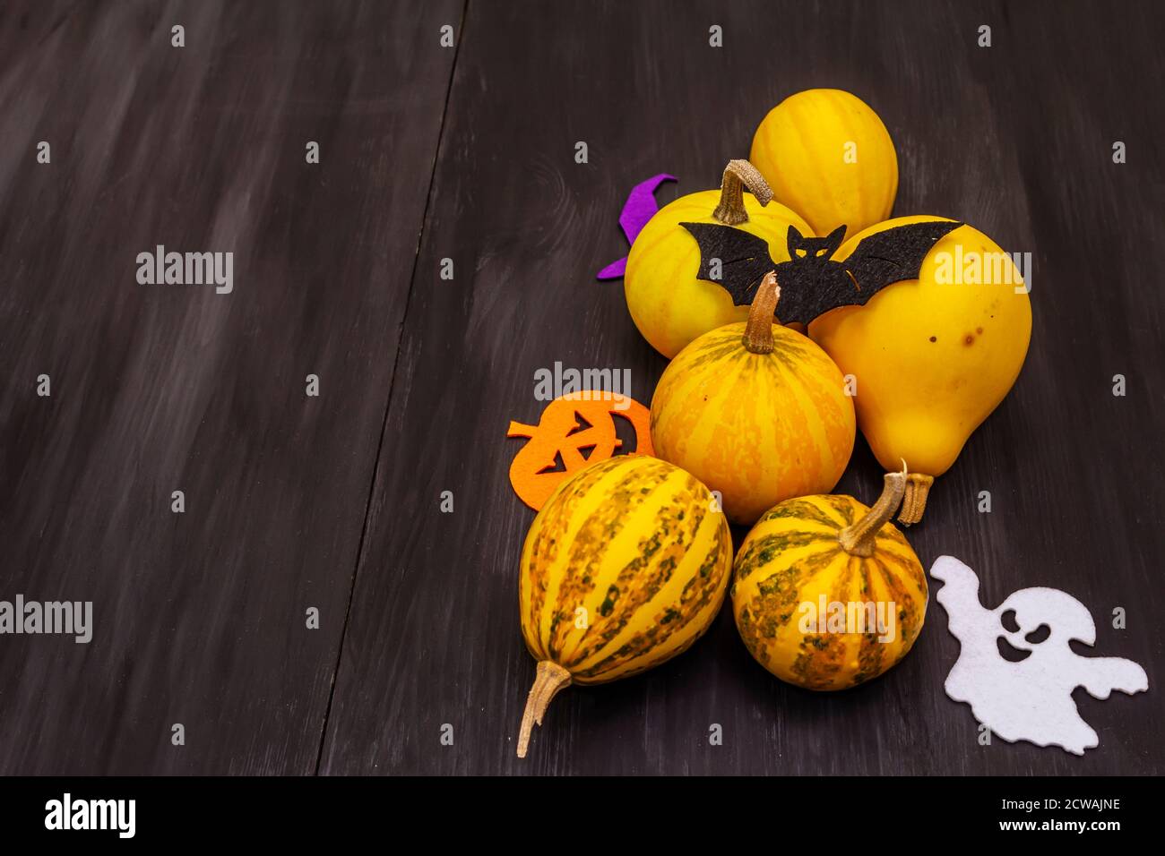 Verschiedene kleine Kürbisse und Halloween-Symbole - Fledermaus, Geist, Hexenhut und Jack o Laterne aus Filz. Schwarzer dekorativer Holzhintergrund, Kopierraum Stockfoto