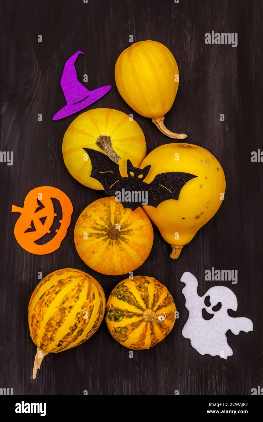 Verschiedene kleine Kürbisse und Halloween-Symbole - Fledermaus, Geist, Hexenhut und Jack o Laterne aus Filz. Schwarzer dekorativer Holzhintergrund, Nahaufnahme Stockfoto