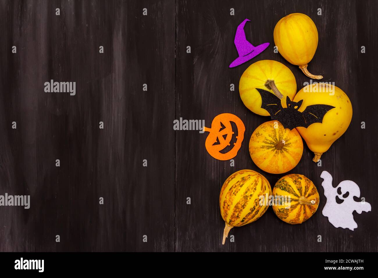Verschiedene kleine Kürbisse und Halloween-Symbole - Fledermaus, Geist, Hexenhut und Jack o Laterne aus Filz. Schwarzer dekorativer Holzhintergrund, Draufsicht Stockfoto