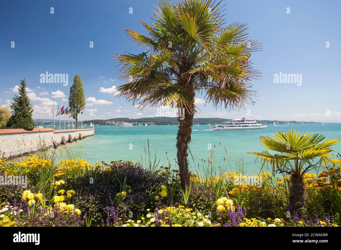 Palmen mit blühenden Blumen, Frühling, Insel Mainau, Blumeninsel, Konstanz, Bodensee, Baden-Württemberg, Deutschland, Europa Stockfoto