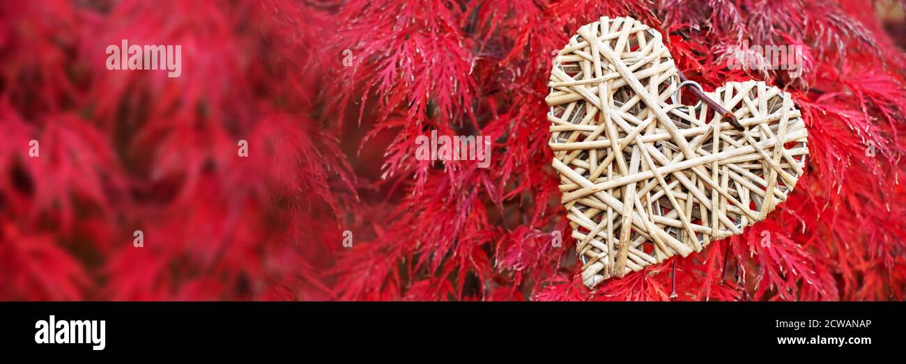 Holzherz auf rotem Ahorn Blätter Panorama-Hintergrund. Webbanner mit Platz für Kopien Stockfoto