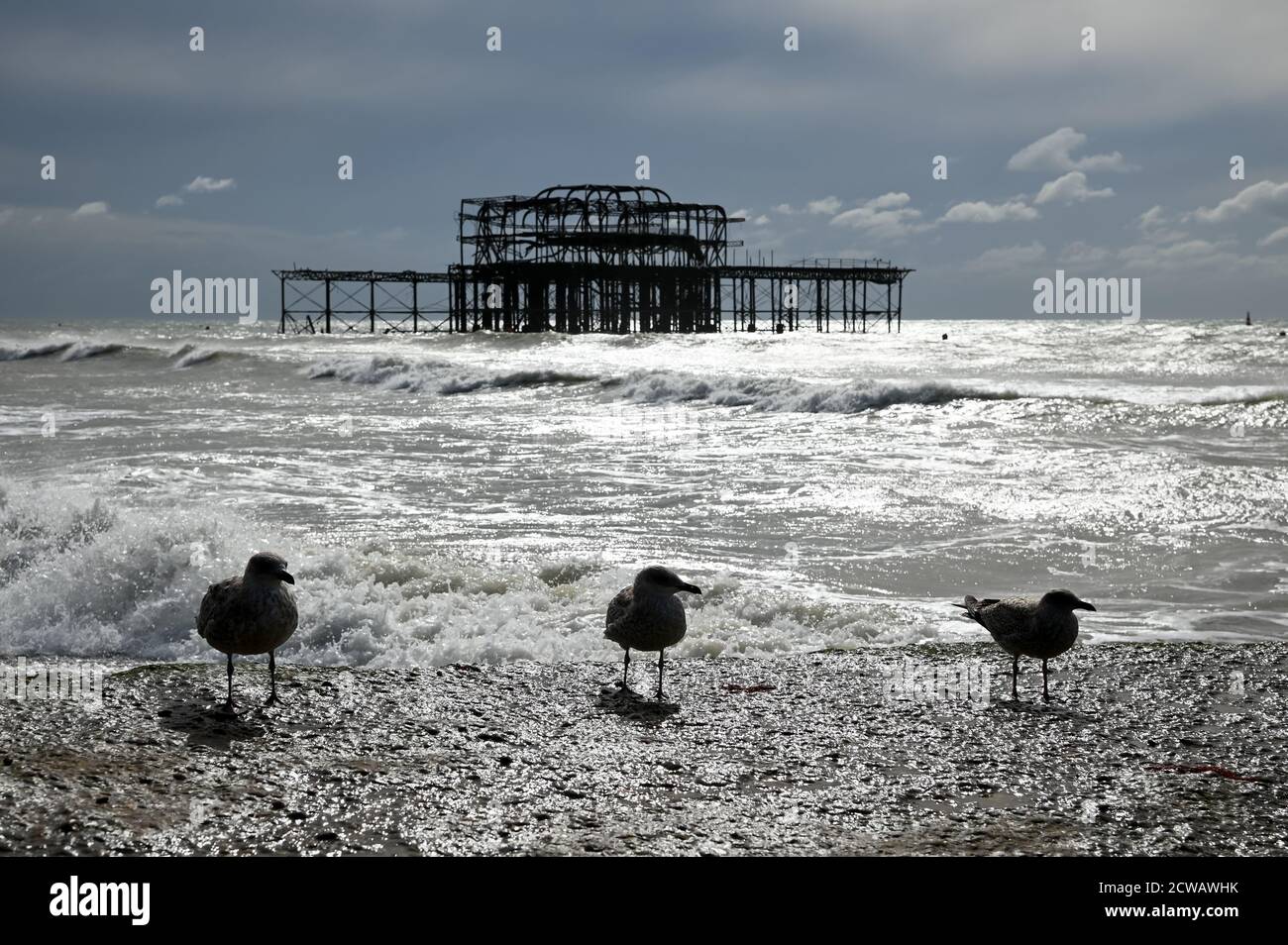 Brighton West Pier in Brighton, East Sussex, England, Großbritannien. Möwen am Strand vor dem verfallenen Pier in der Küstenstadt an der Südküste. Stockfoto