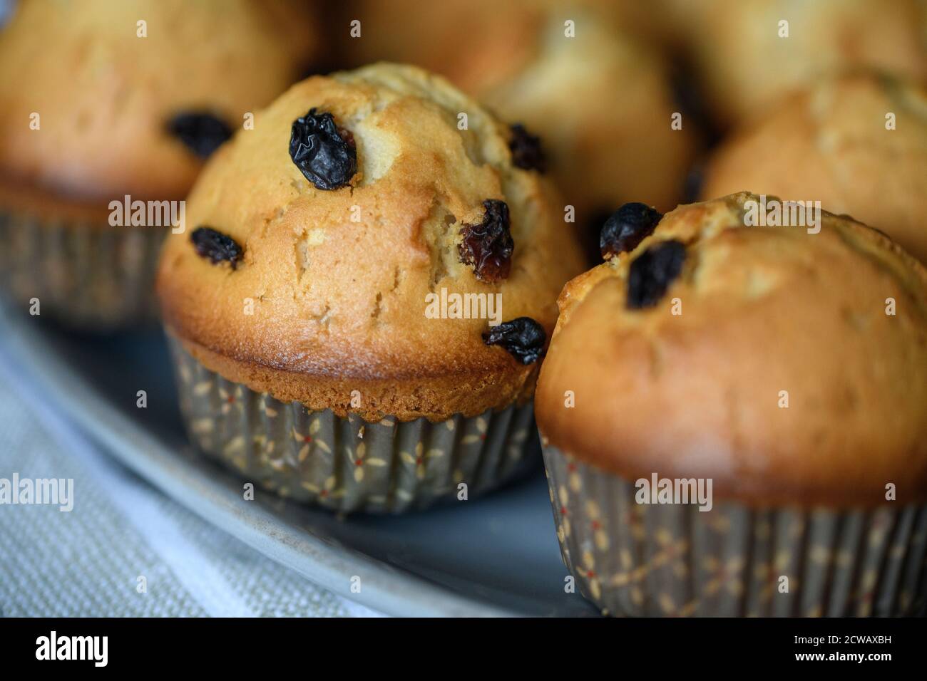 Muffins auf einem grauen Teller. Nahaufnahme. Stockfoto