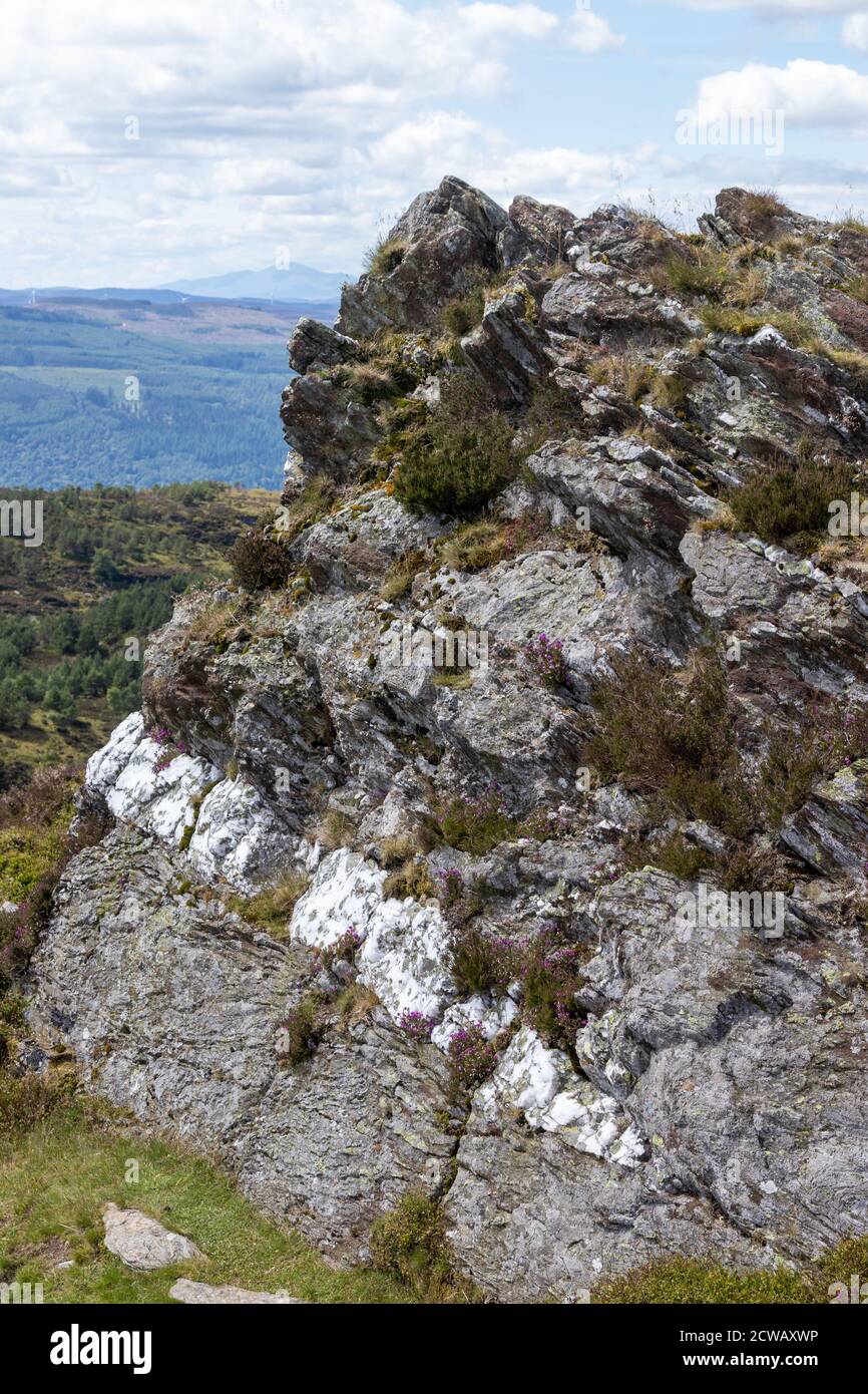 Der Gipfel des Deuchary Hill, der ein Band aus weißem Quarz durch den Felsen hat. Stockfoto