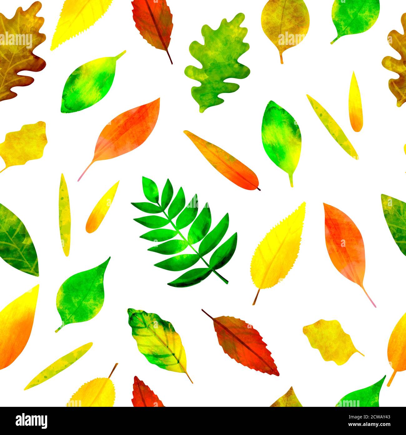 Nahtloses Muster bunte Herbstblätter auf weiß Stockfoto