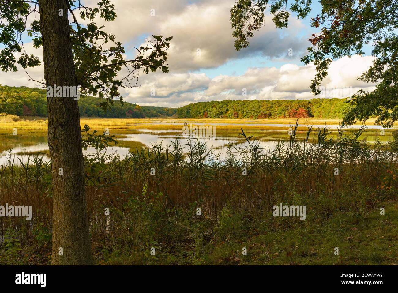 Herbstfarbe, Bride Brook Salt Marsh, Rocky Neck State Park, Niantic, East Lyme, Connecticut. Stockfoto