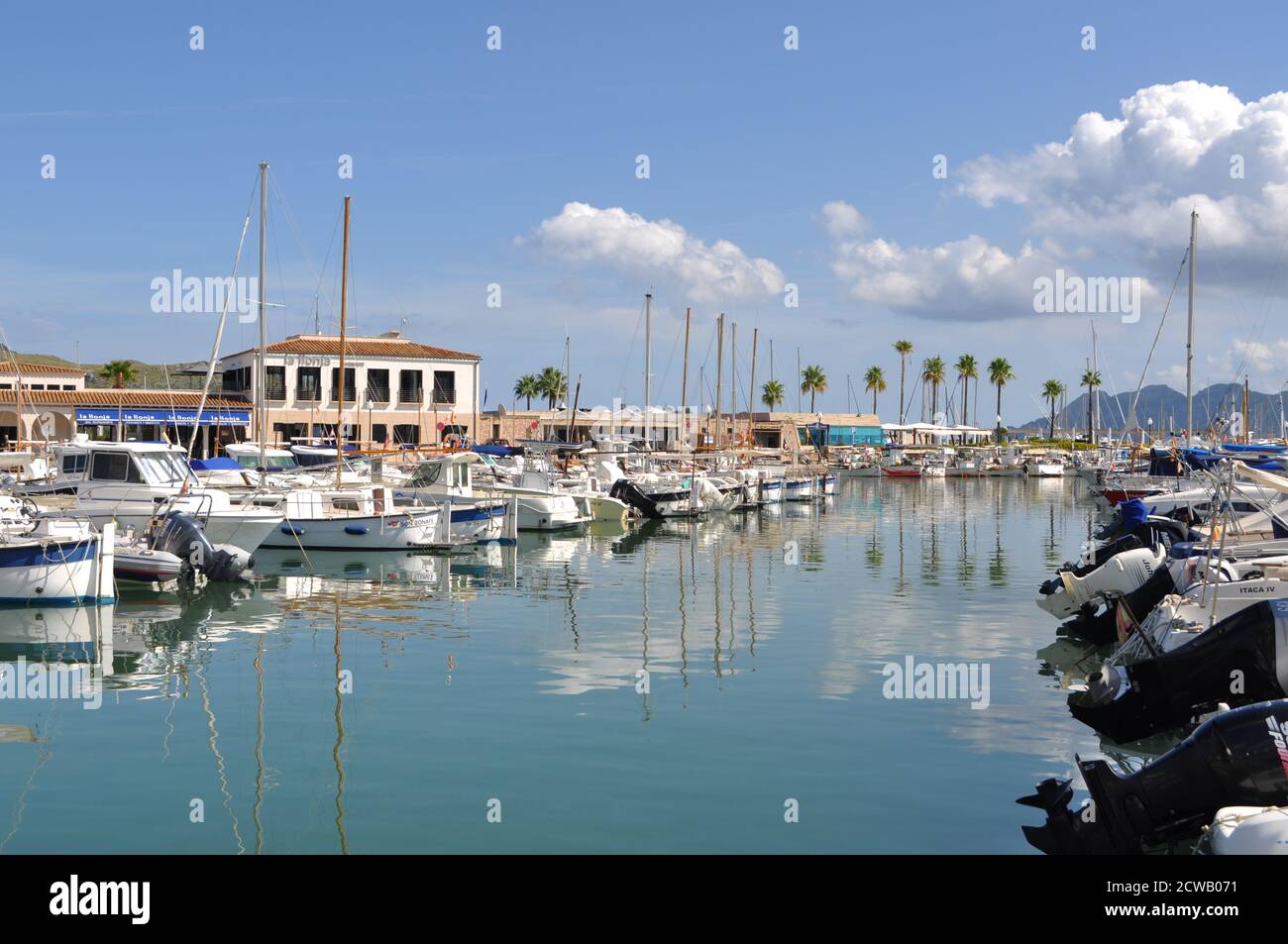 Hafen in Puerto Pollensa Nord-Mallorca Stockfoto