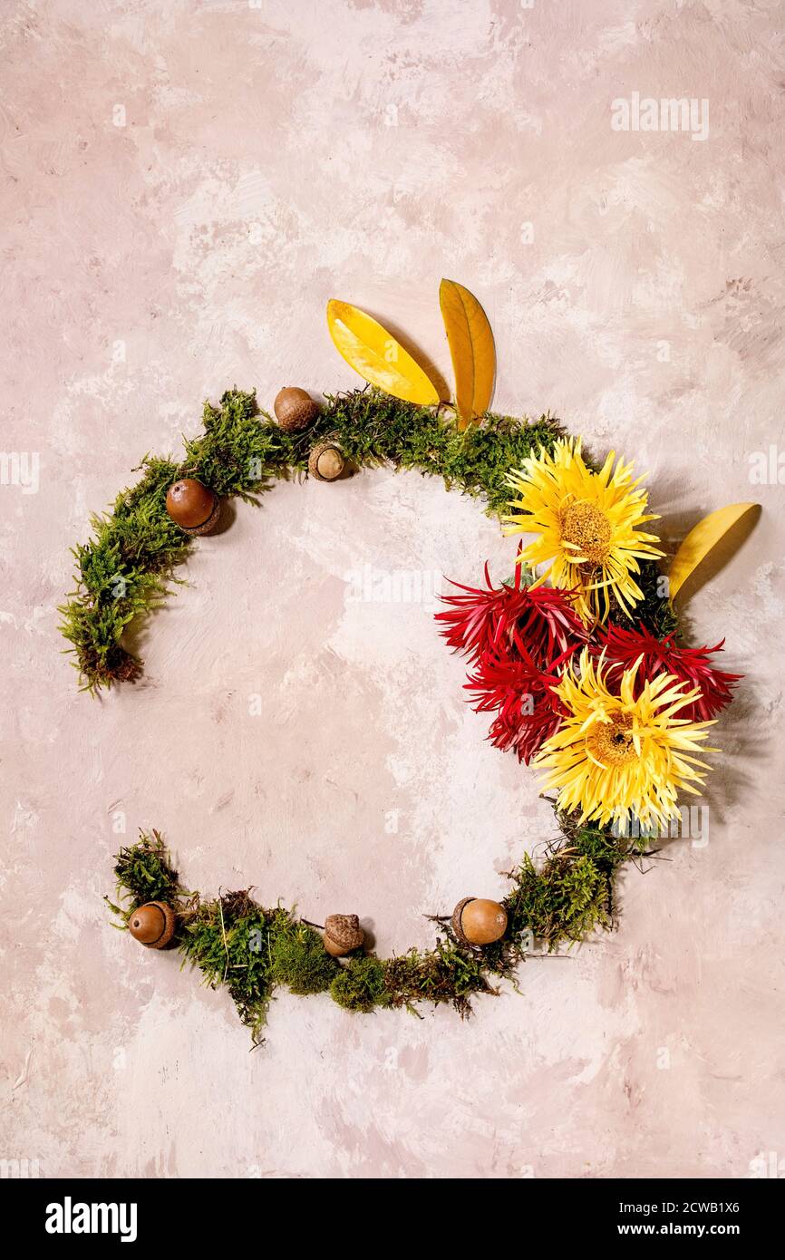 Schöne Herbst botanischen Kranz Komposition kreativen Layout mit Blumen, Moos und gelben Herbstblättern über beige Beton Hintergrund. Flache Lay, CO Stockfoto