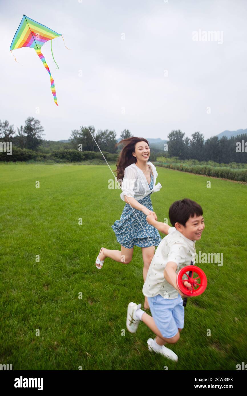 Glückliche Mutter und Sohn fliegen einen Drachen auf dem Gras Stockfoto