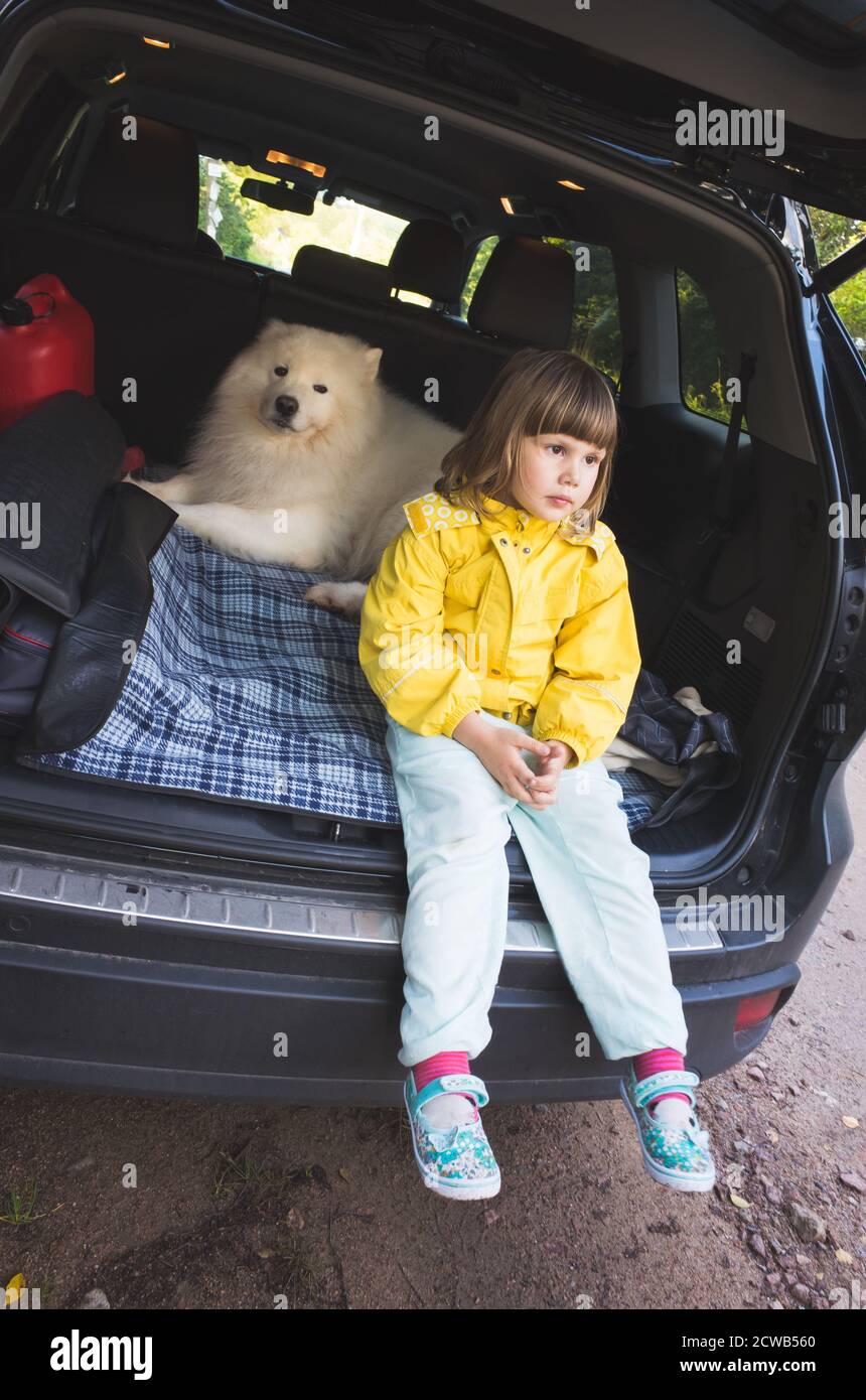 Hundeauto reise Fotos und Bildmaterial in hoher Auflösung Alamy