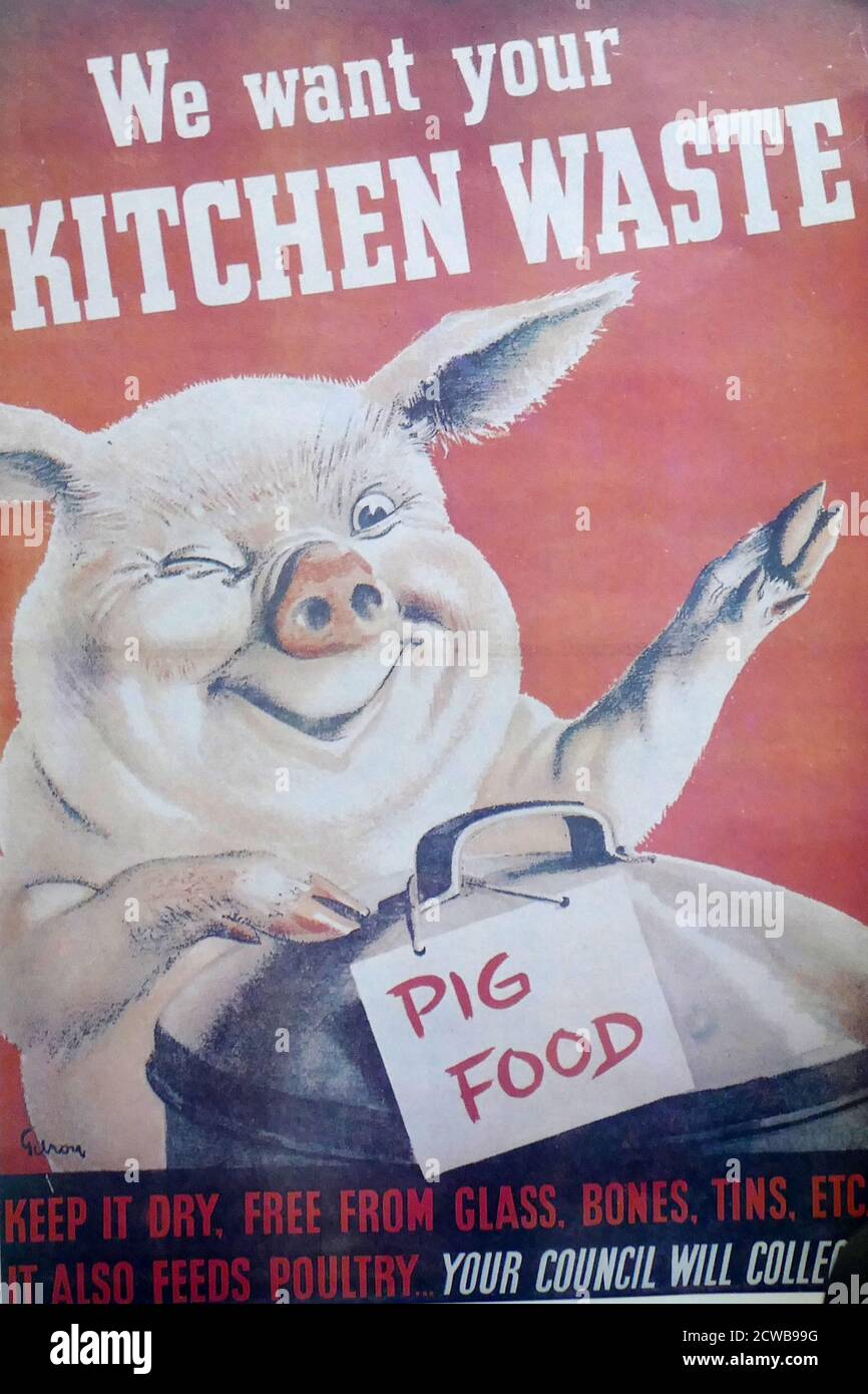 Plakat zum Zweiten Weltkrieg, auf dem die Menschen aufgefordert werden, ihre Küche zu retten Abfälle für Schweinefutter Stockfoto
