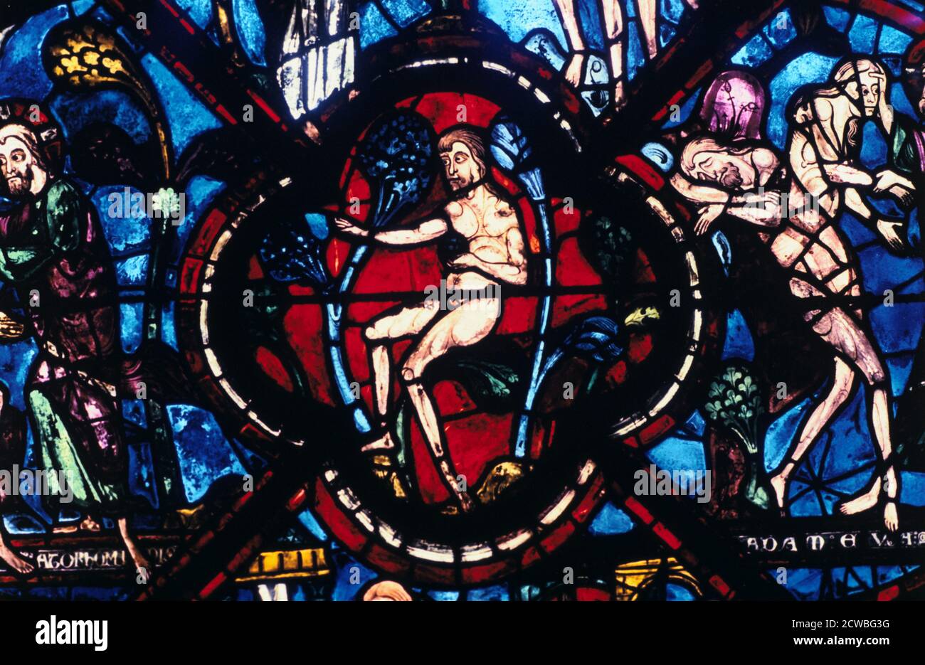 Adam in Eden, Glasmalerei, die Kathedrale von Chartres, Frankreich, 1205-1215. Vom barmherzigen Samariter und Adam und Eva Fenster im südlichen Seitenschiff Detail. Stockfoto
