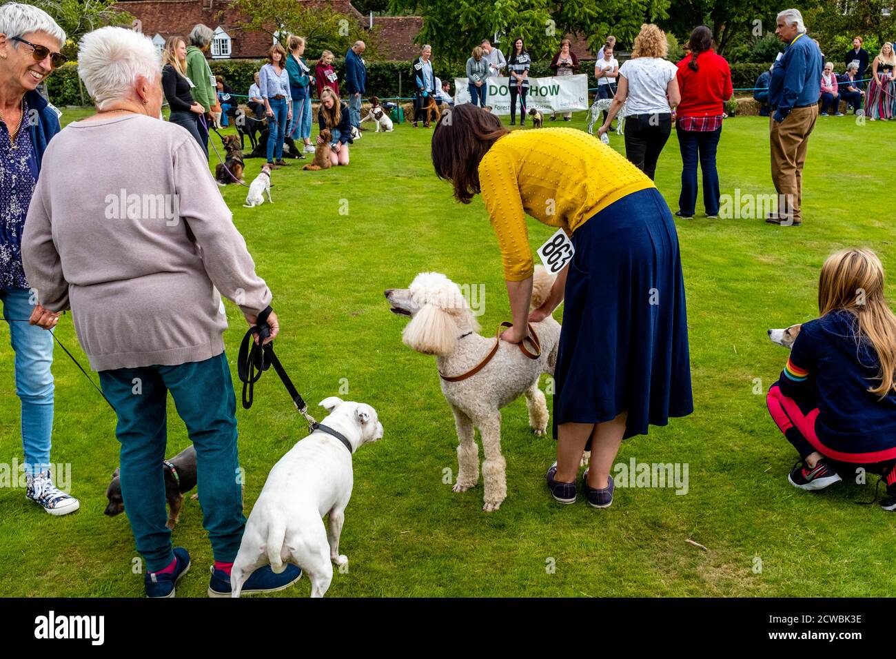 Eine traditionelle Hundeausstellung im Hartfield Village Fete, Hartfield, East Sussex, Großbritannien. Stockfoto