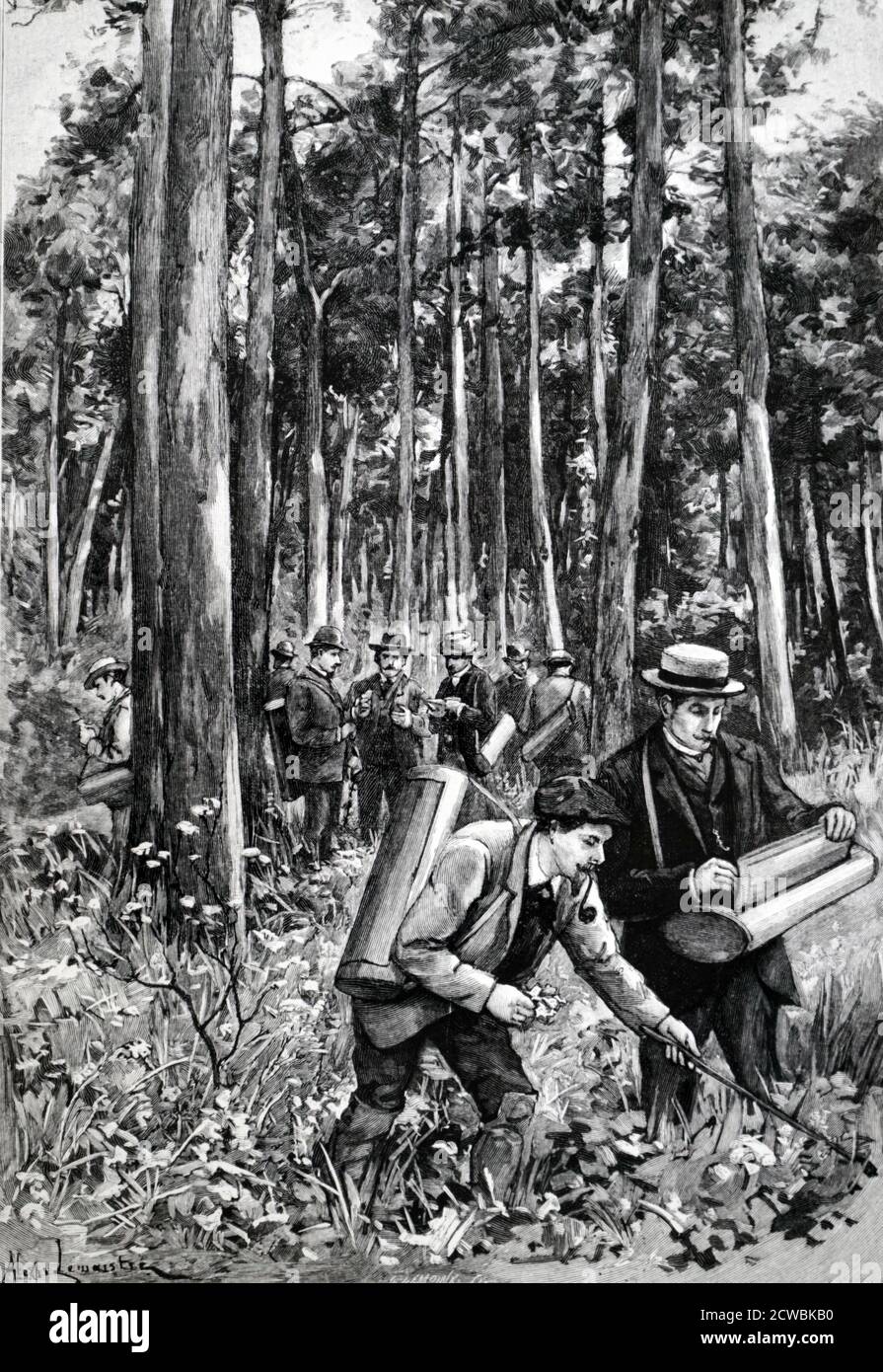 Gravur mit Schülern der Sorbonne, die botanische Exemplare während einer Exkursion im Wald von Fontainebleau sammeln. Stockfoto