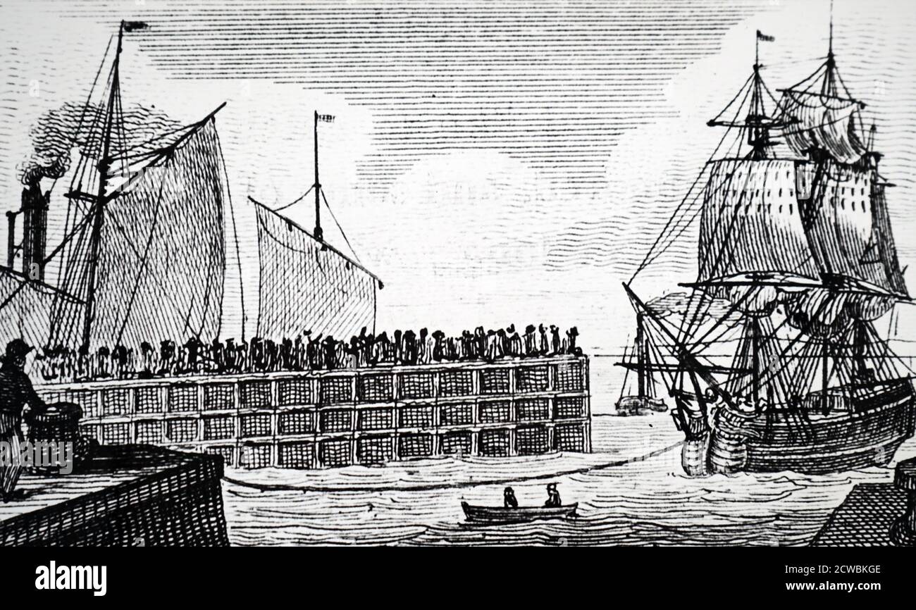 Gravur, die einen grönlandwal darstellt, der in die Möwe eindringt. Stockfoto