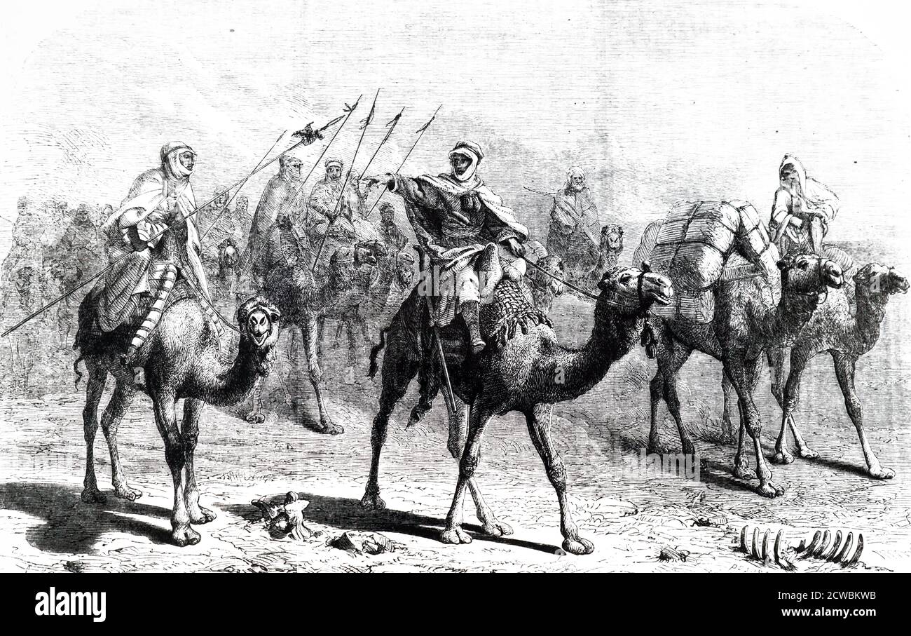 Gravur, die einen Kamelkarawane darstellt. Ein Kamelzug oder Wohnwagen ist eine Reihe von Kamelen, die Passagiere und Waren auf einem regelmäßigen oder halbregelmäßigen Service zwischen Punkten befördern. Stockfoto