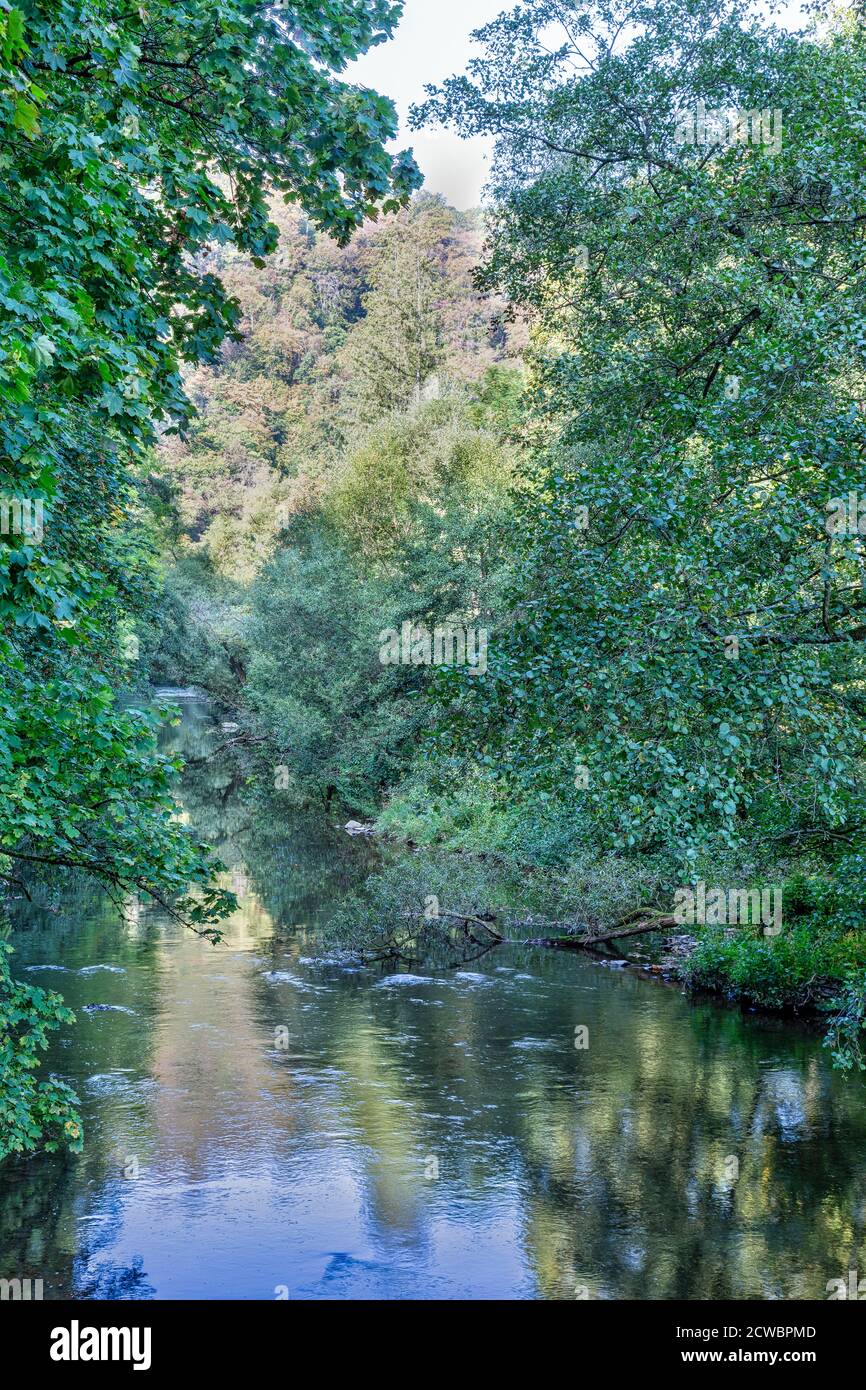Blick auf einen Bach, der glatt und mit Reflexionen durchfließt Ein Wald Stockfoto