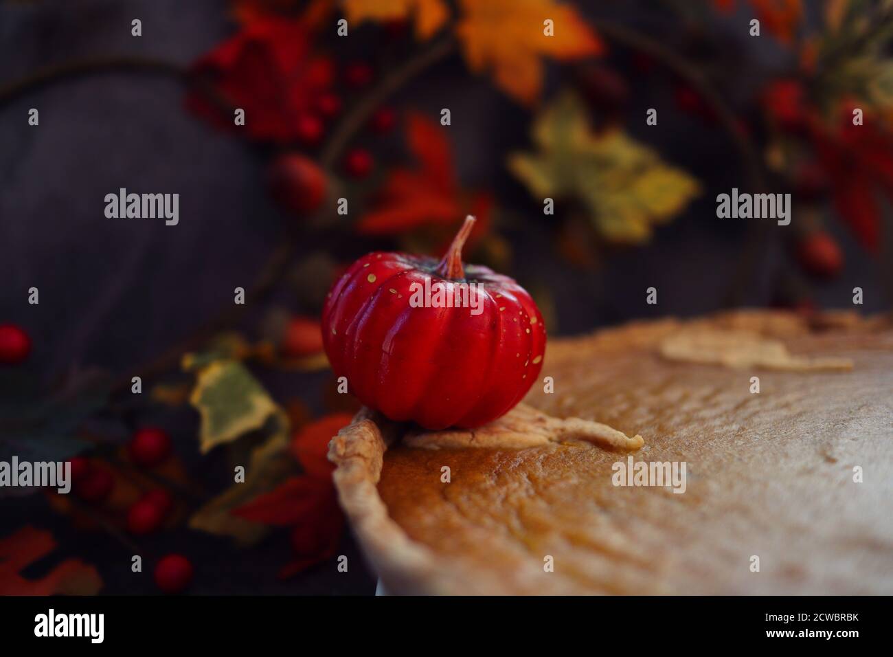 Nahaufnahme von Gluten Free Pumpkin Pie mit kleinen dekorativen Künstlichen Kürbis darauf. Herbst Vibes mit Backwaren. Stockfoto