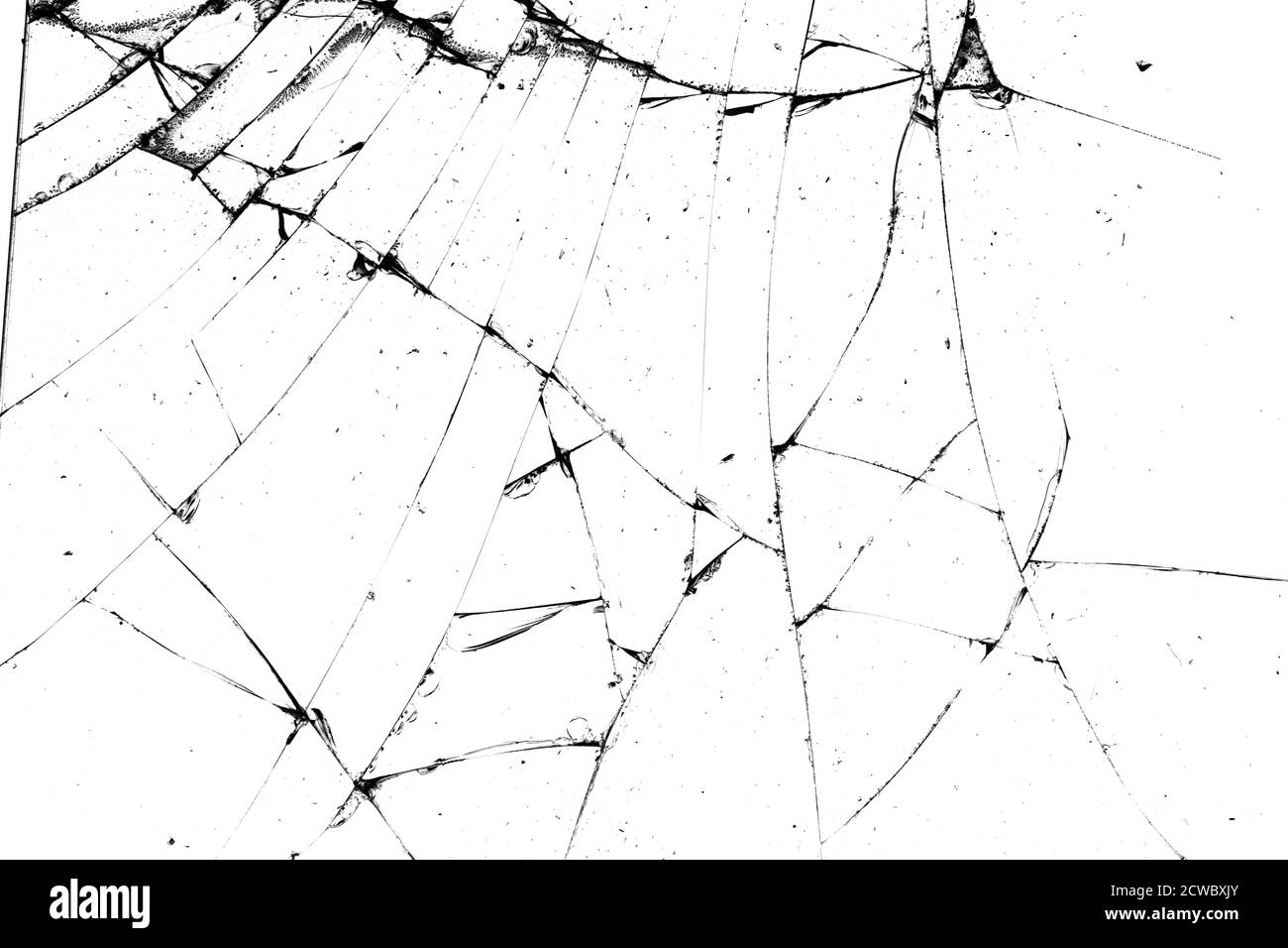 Zerbrochene Glasstruktur. Schwarze Risse auf weißem Hintergrund Stockfoto