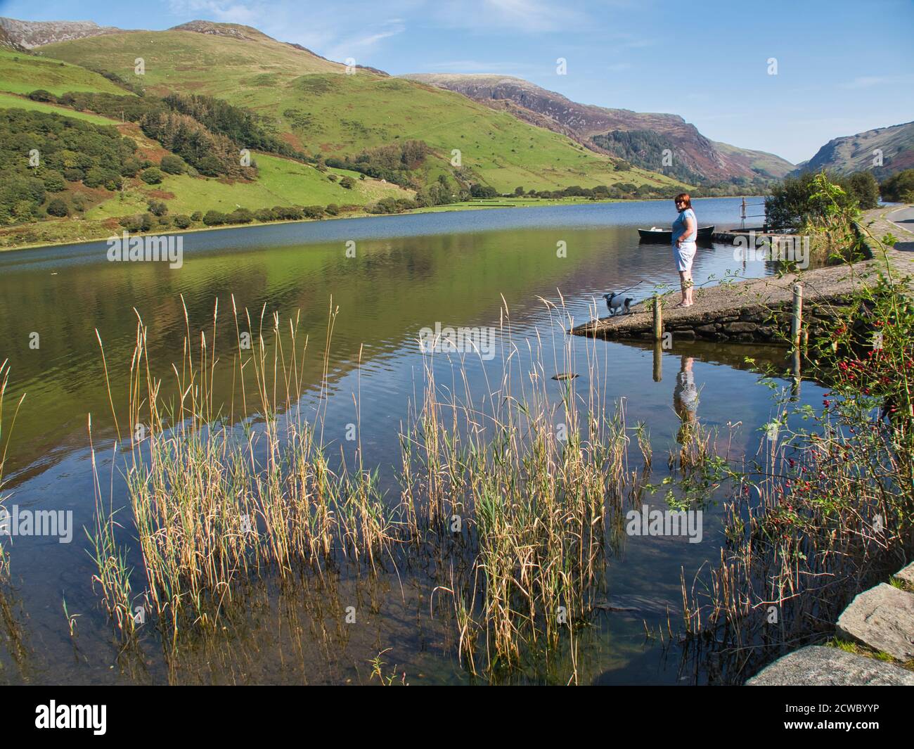 See Tal-y-lln Nordwales mit Palmenbergen und Sonne Stockfoto