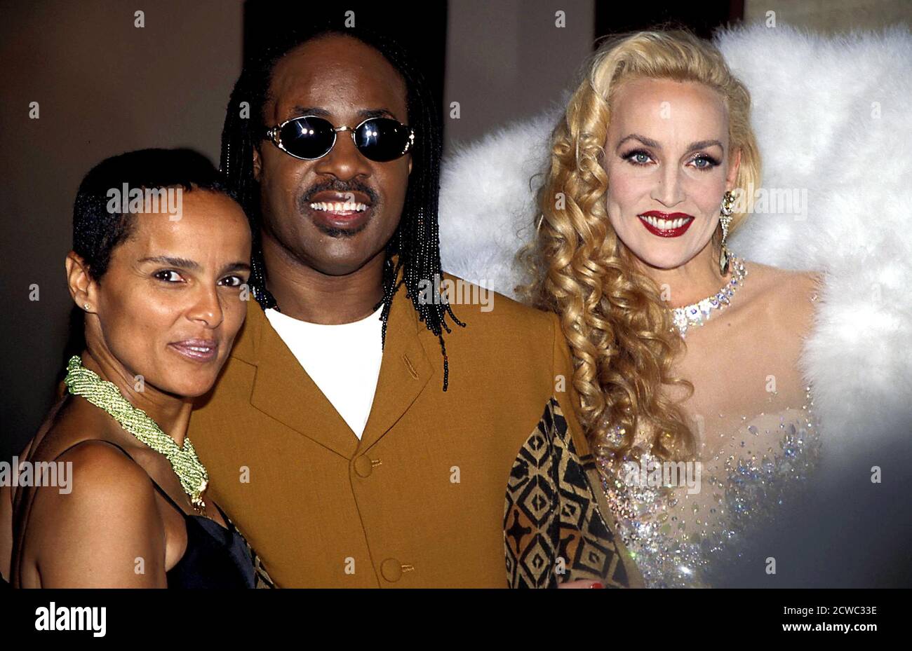 Shari Belafonte, Stevie Wonder und Jerry Hall bei den Peace Awards 1995