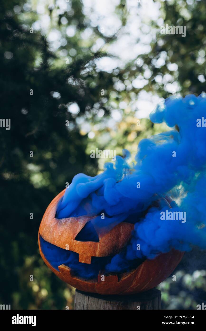 Geschnitzter Halloween Kürbis mit blauem Rauch aus Löchern für gruselige und böse Wirkung, Atmosphäre der Herbstferien. Kürbis Danksagung halloween Stockfoto