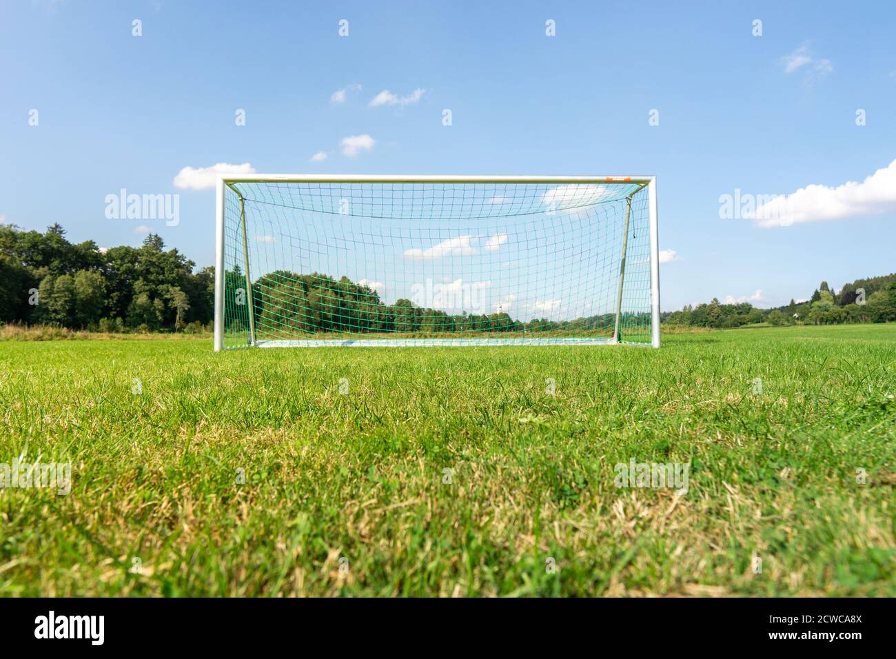 Konzentrieren Sie sich auf grünes Gras eines Fußballfeldes mit verschwommenem Tor im Hintergrund. Stockfoto