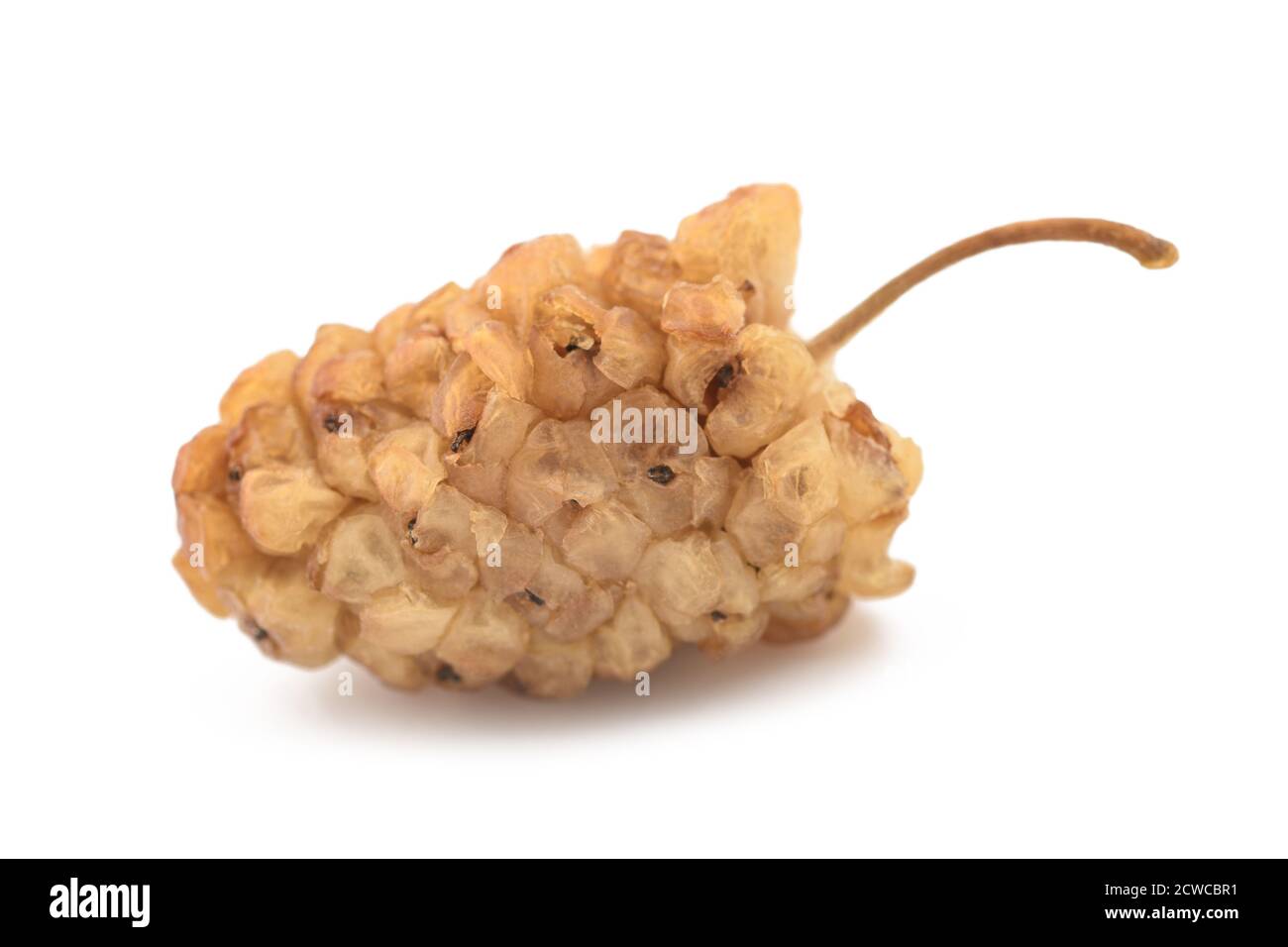 Trockene maulbeere Fotos und Bildmaterial in hoher Auflösung Alamy