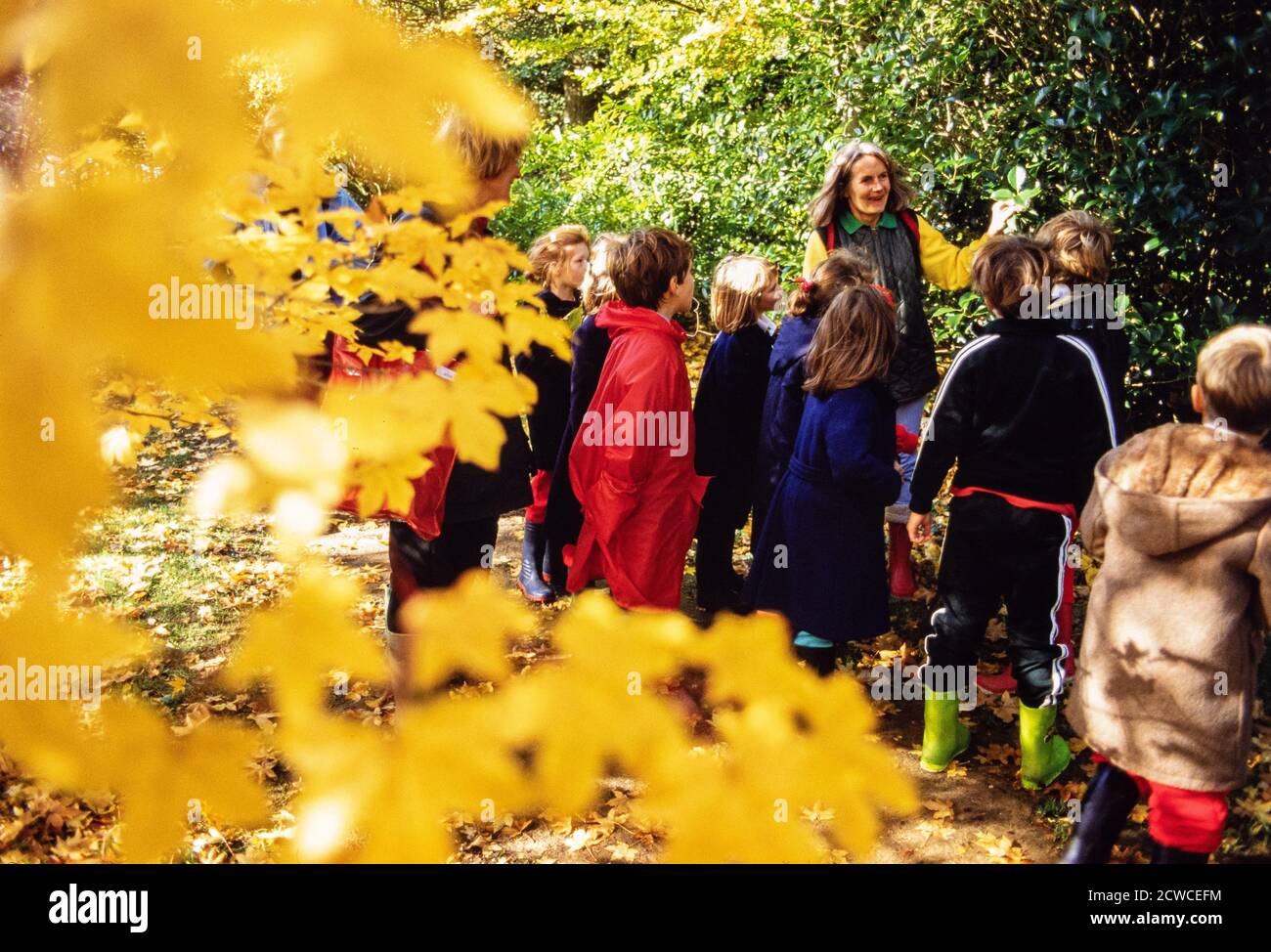 Eine Schulparty besucht das Bildungszentrum im Hillier's Arboretum in Hampshire während der Herbstsaison. 04. November 1991. Foto: Neil Turner Stockfoto