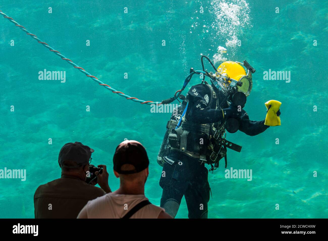 Besucher beobachten Oberfläche versorgte Taucher mit Nabelreinigungsglas auf ausgestattet Im Inneren des riesigen Wassertanks / Aquarium im Zoo / zoologischer Garten Stockfoto