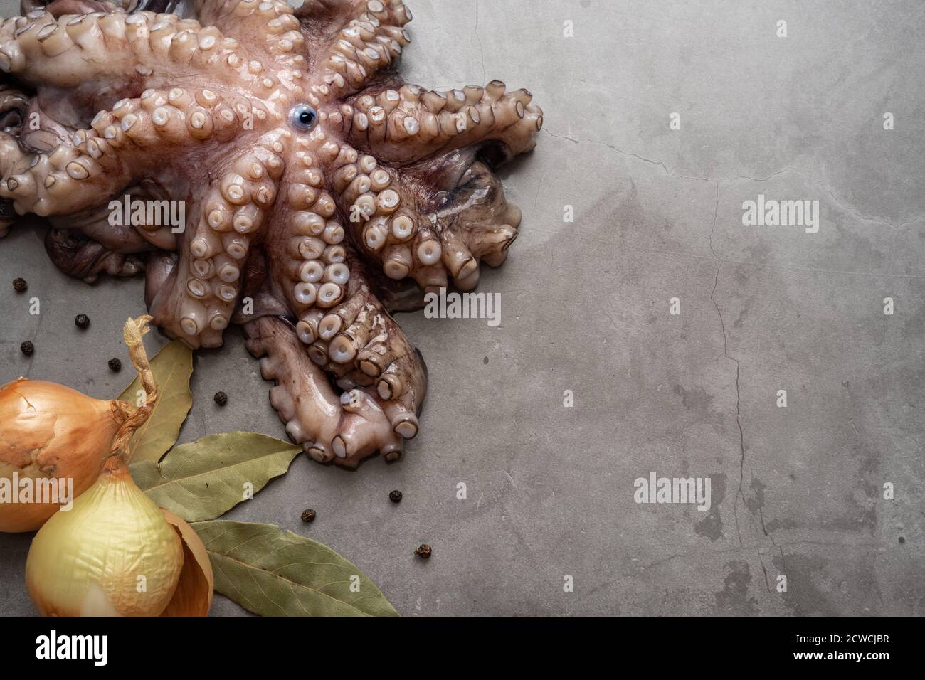 Ganze rohe kleine Krake mit zwei gelben Zwiebeln, Lorbeerblättern und Pfeffersamen auf einer Betonoberfläche mit Kopierraum. Stockfoto