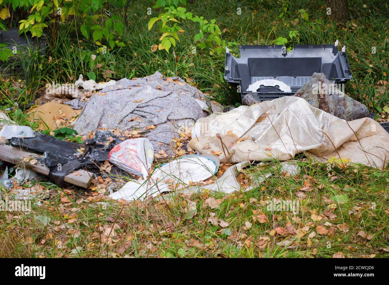 Müll im Wald. Ökologisches Problem. Kunststoff, Glas, Dosen. Stockfoto