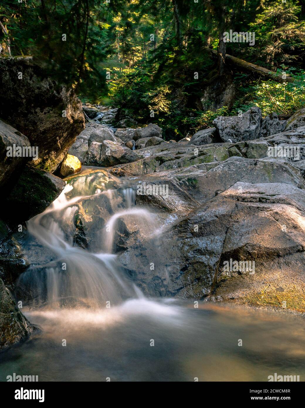 Langzeitaufnahme des Wasserfalls im Lynn Valley Forest mit Nikon d3200 Stockfoto