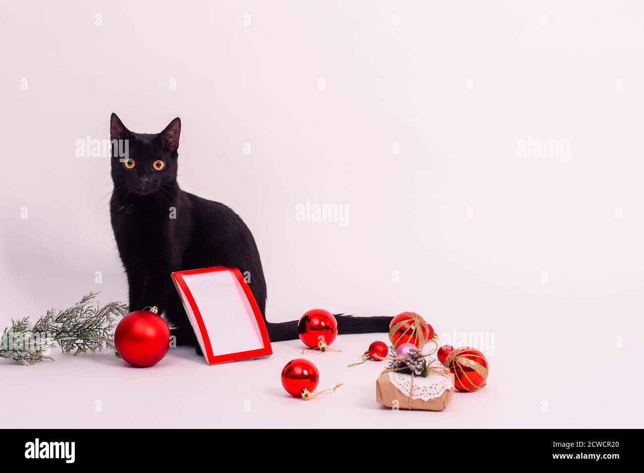 Schwarze Katze mit Bilderrahmen, weihnachtskugeln und weihnachtsgeschenk auf weißem Hintergrund Stockfoto