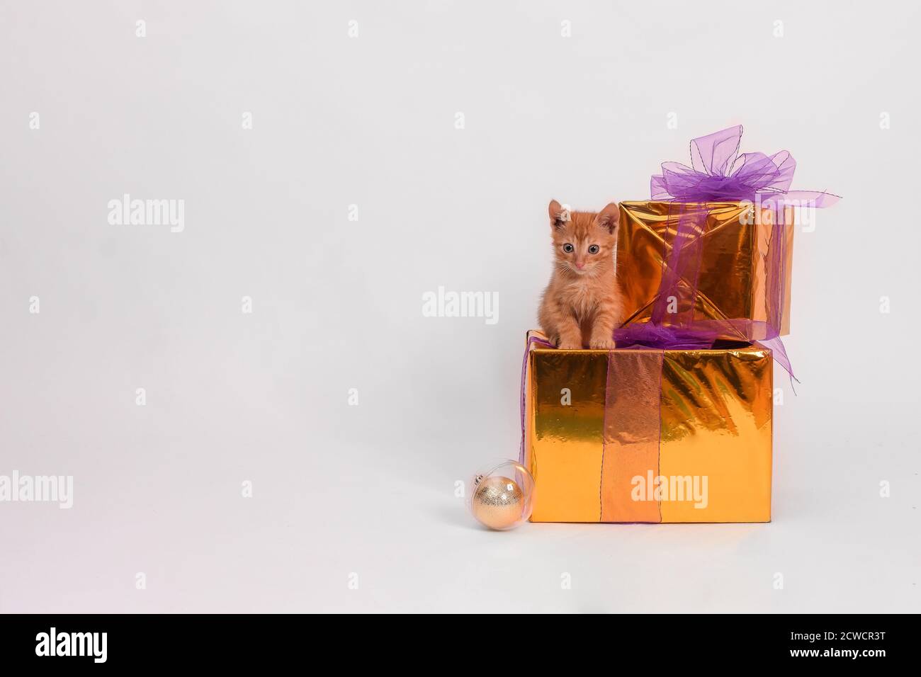 Ginger Kätzchen sitzt auf Boxen mit Neujahr Geschenke an Ein weißer Hintergrund Stockfoto