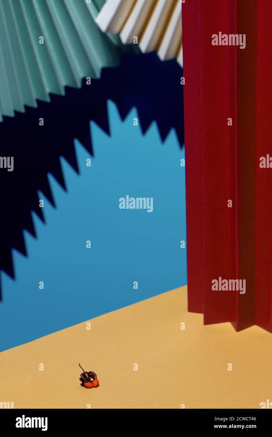 Moderne mehrfarbige Komposition aus Ventilatoren, Schatten und Pappe. Stilvolles geometrisches Konzept Stockfoto
