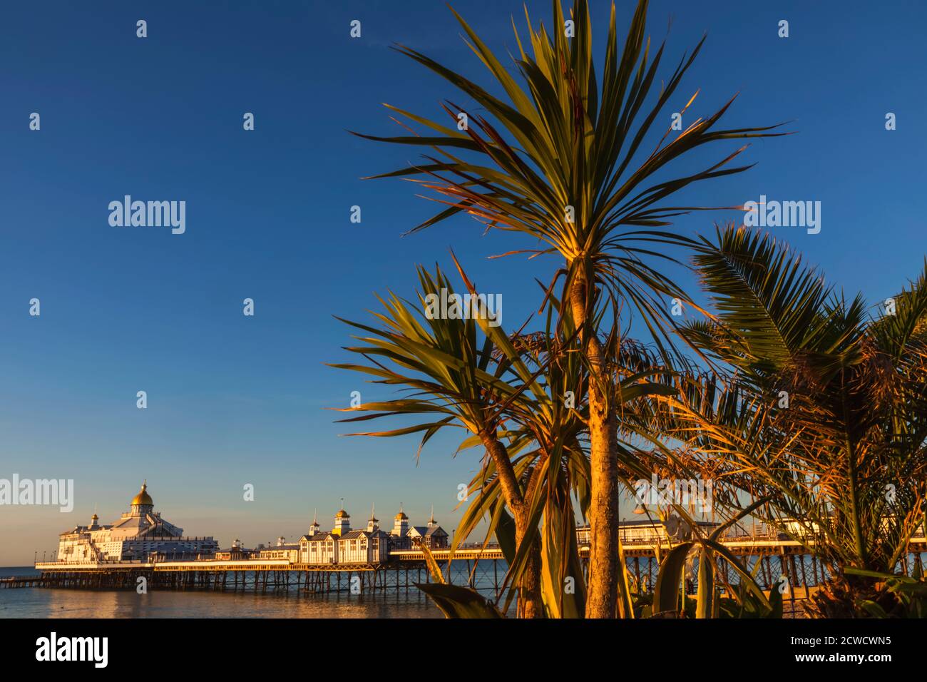 England, East Sussex, Eastbourne, Eastbourne Beach und Pier mit Palmen Stockfoto