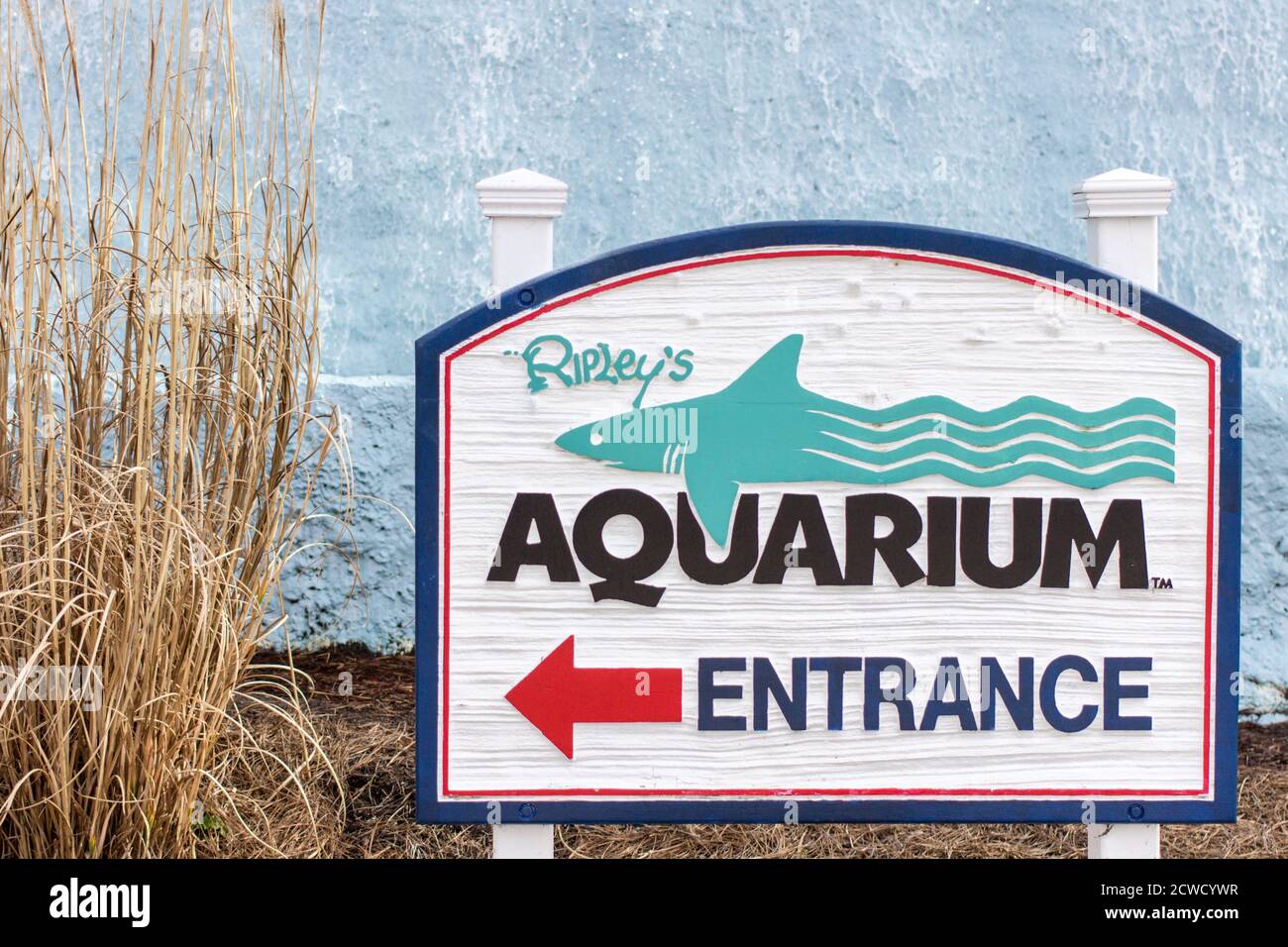 Das Ripley's Aquarium ist eine der beliebtesten Touristenattraktionen der Stadt und liegt am Broadway at the Beach Complex. Stockfoto
