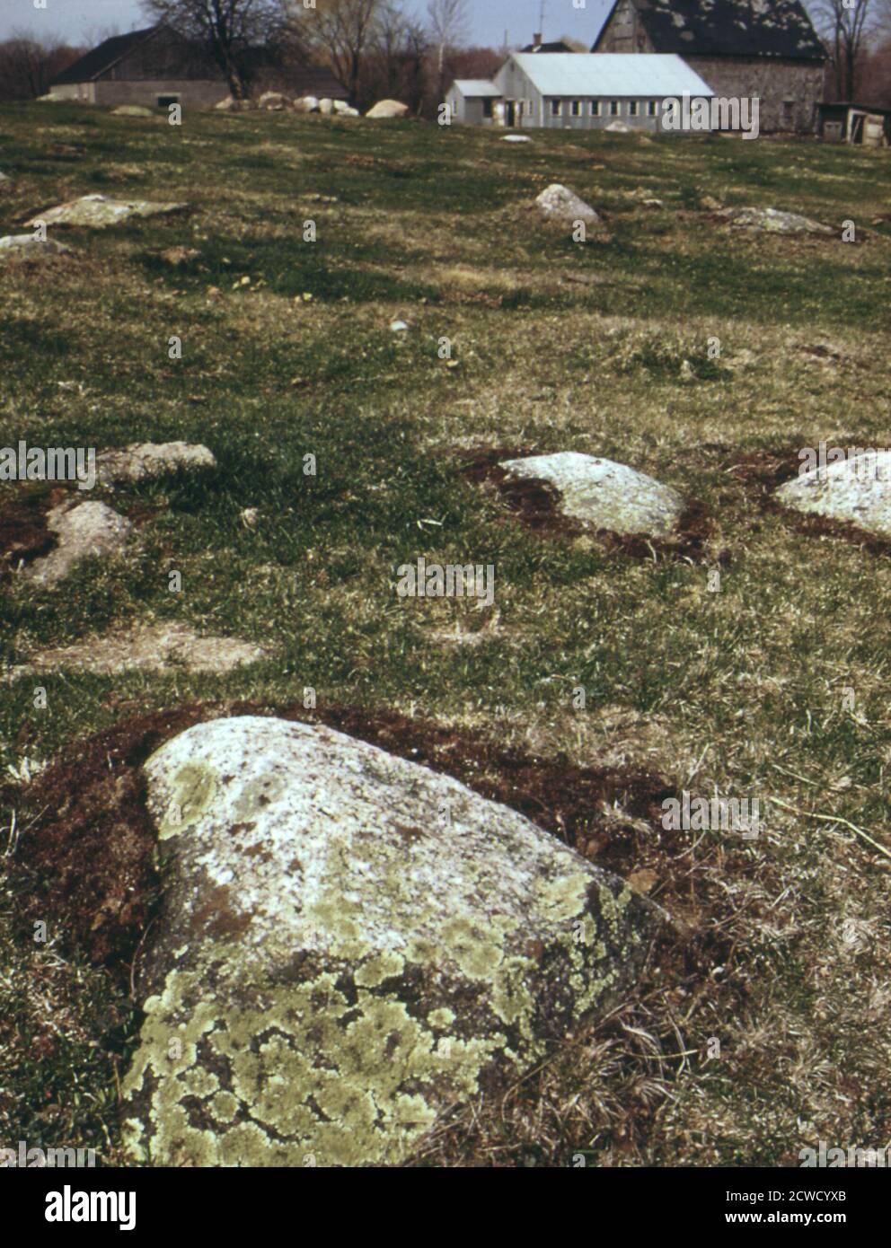 Farm in West Greenwich. Steinausschnitte typisch New England Boden - Rhode Island ca. April 1973 Stockfoto