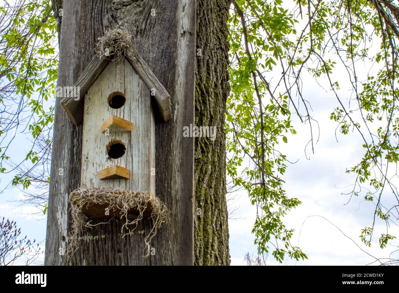 Handgemachtes Vogelhaus auf rustikalem grünen Hintergrund Stockfoto