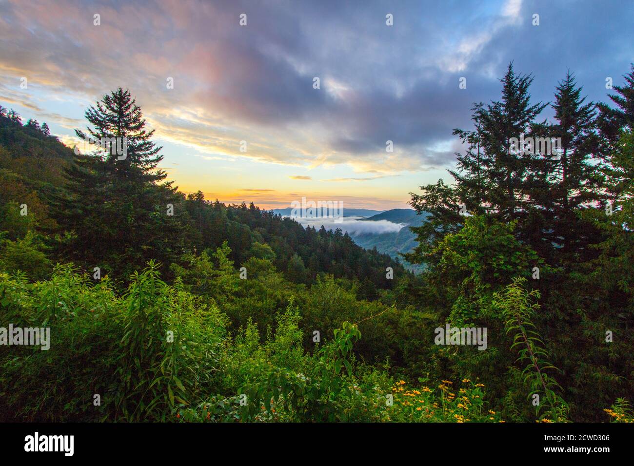 Sonnenaufgang vom Great Smoky Mountains Foothill Parkway in der Nähe von Gatlinburg, Tennessee, USA. Stockfoto