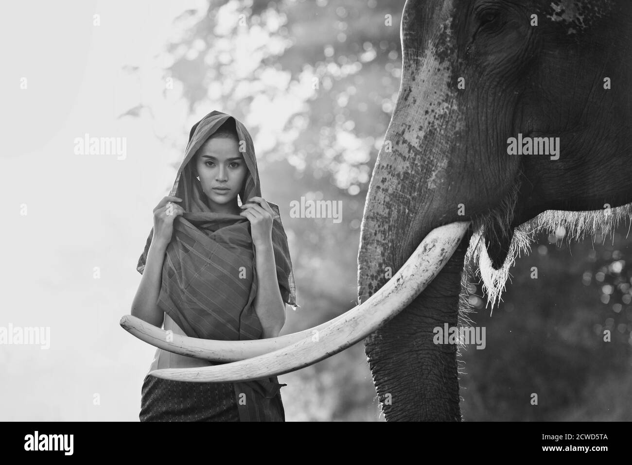 Schöne thai Frau verbringen Zeit mit dem Elefanten in der Dschungel Stockfoto