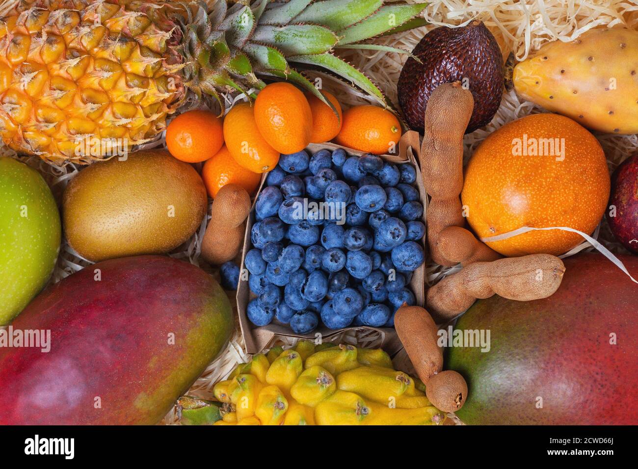 Exotische Früchte. Hintergrund von tropischen Früchten Stockfoto